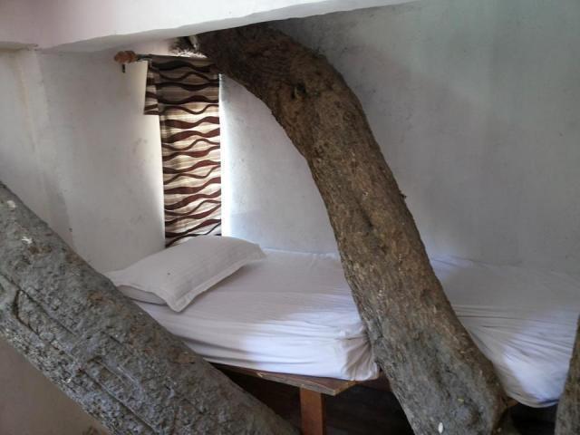 Junglee Resort Rajaji National Park Rishīkesh Стая снимка