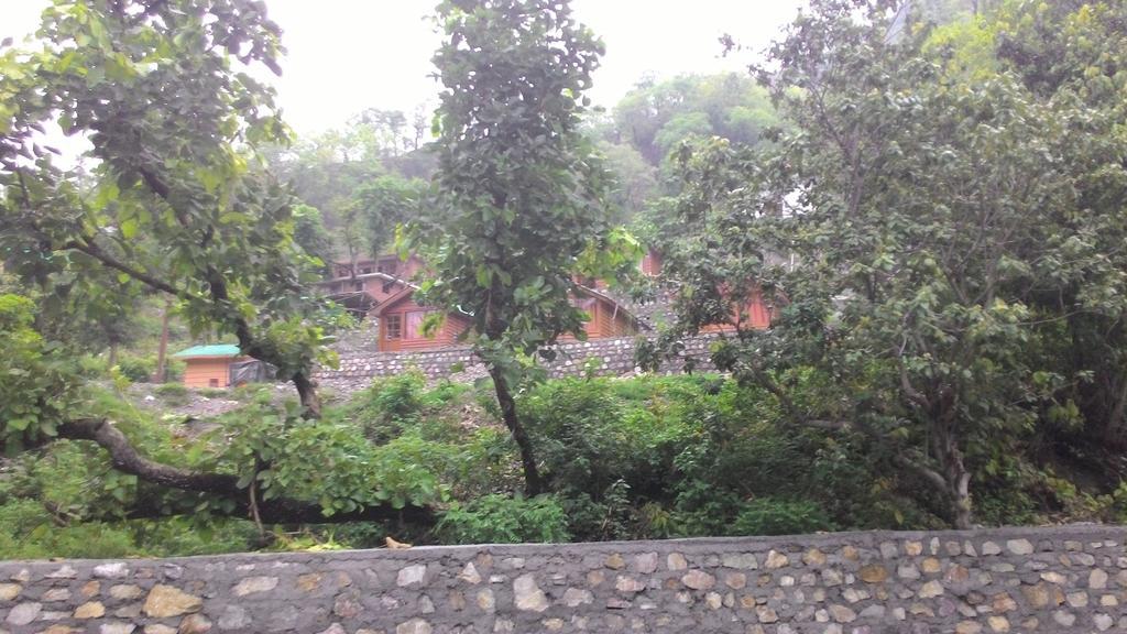 Junglee Resort Rajaji National Park Rishīkesh Стая снимка